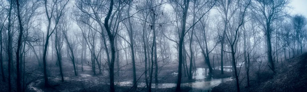 Here's a list of Marinalife's top five haunted boat attractions to enjoy this ghoulish season.